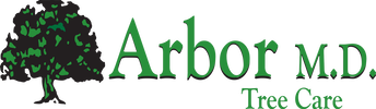 Connect to the Team of Arbor MD Tree Care for Better Solutions